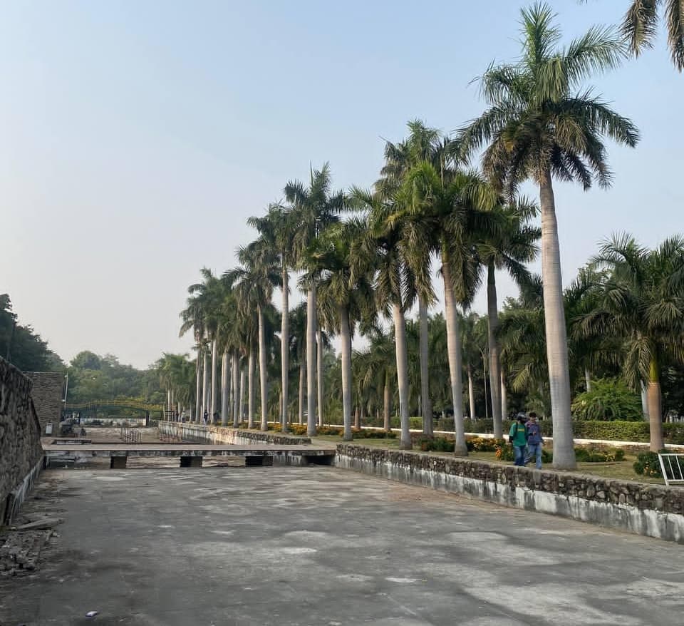 Panjab University Chandigarh Campus photo 11